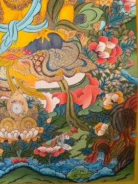 Yellow Kuber (zambala) image 3