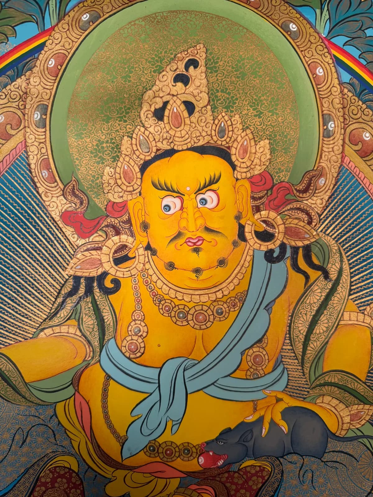 Yellow Kuber (zambala) image 7